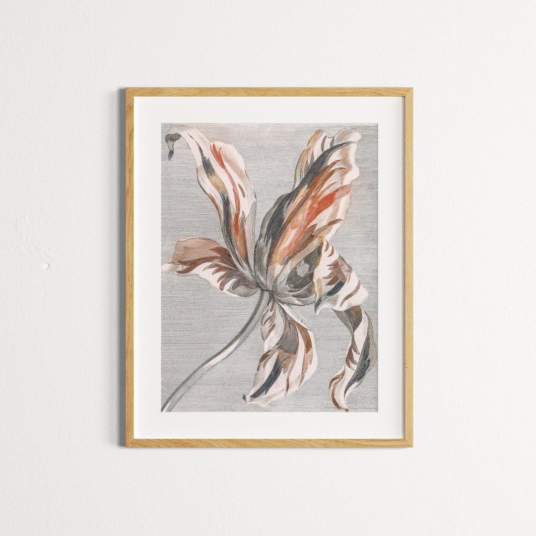 Tulip by Johan Teyler Vintage Print | Botanical Flower Art Poster ...