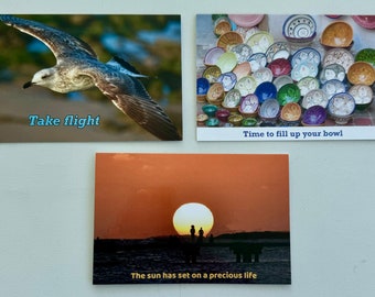 Photo Greeting Cards that POP!