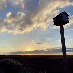 May include: A wooden birdhouse with multiple compartments sits atop a tall wooden pole against a backdrop of a cloudy sunset sky. The birdhouse is silhouetted against the sky.