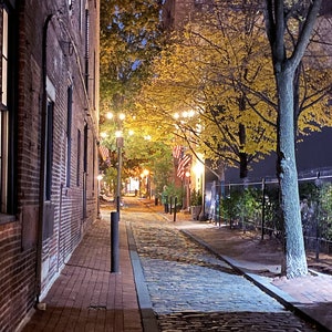 Puede incluir: Vista nocturna de un callejón adoquinado con edificios y árboles. Luces de cadena iluminan el camino y banderas americanas cuelgan de los edificios. El cielo es de un azul profundo.