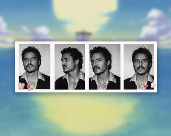 Adesivo per photo booth di Pedro Pascal / Adesivi in vinile lucido e opaco per bottiglie d'acqua e laptop