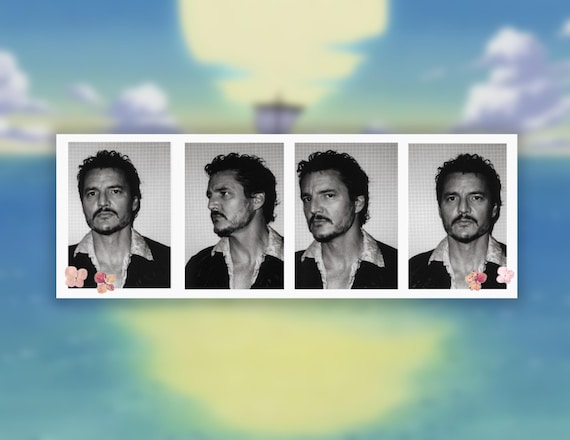 Pedro Pascal photo booth sticker | Glossy, matte vinyl stickers for water bottles, laptops