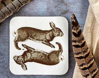 Run Rabbit Run Coaster