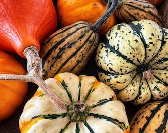 Winter Squash & Apple Jam