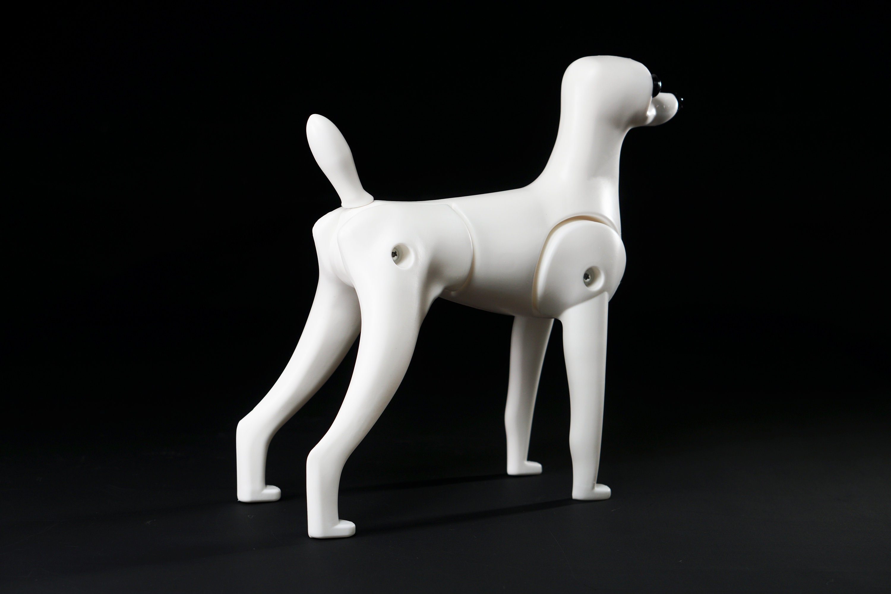 Toy Poodle Model Dog Plastic Mannequin by Artero