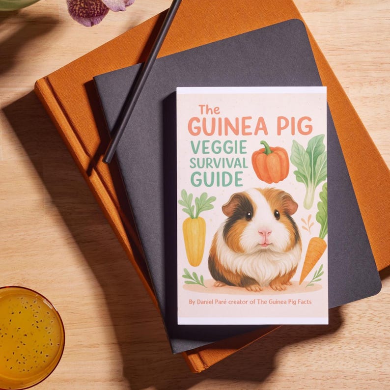 Pu&ograve; includere: Un libro intitolato "The Guinea Pig Veggie Survival Guide" con un'illustrazione di cavia con verdure. Il libro &egrave; sopra un taccuino grigio scuro e un taccuino arancione, con una penna nera.