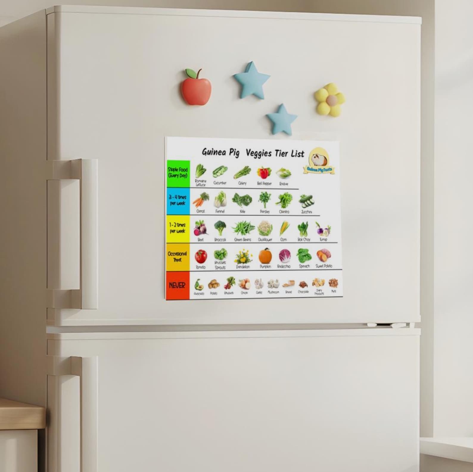 Photo inspiration: Guinea Pig Chopped Veggies For Arthritis Prevention Reference: New Guinea Pig Vegetable Chart Printable