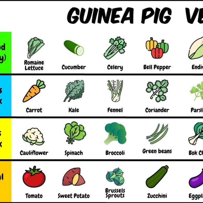 Guinea Pig Vegetable Chart Printable | Safe Veggies Tier List | Meal Planner & Pet Care Guide ...