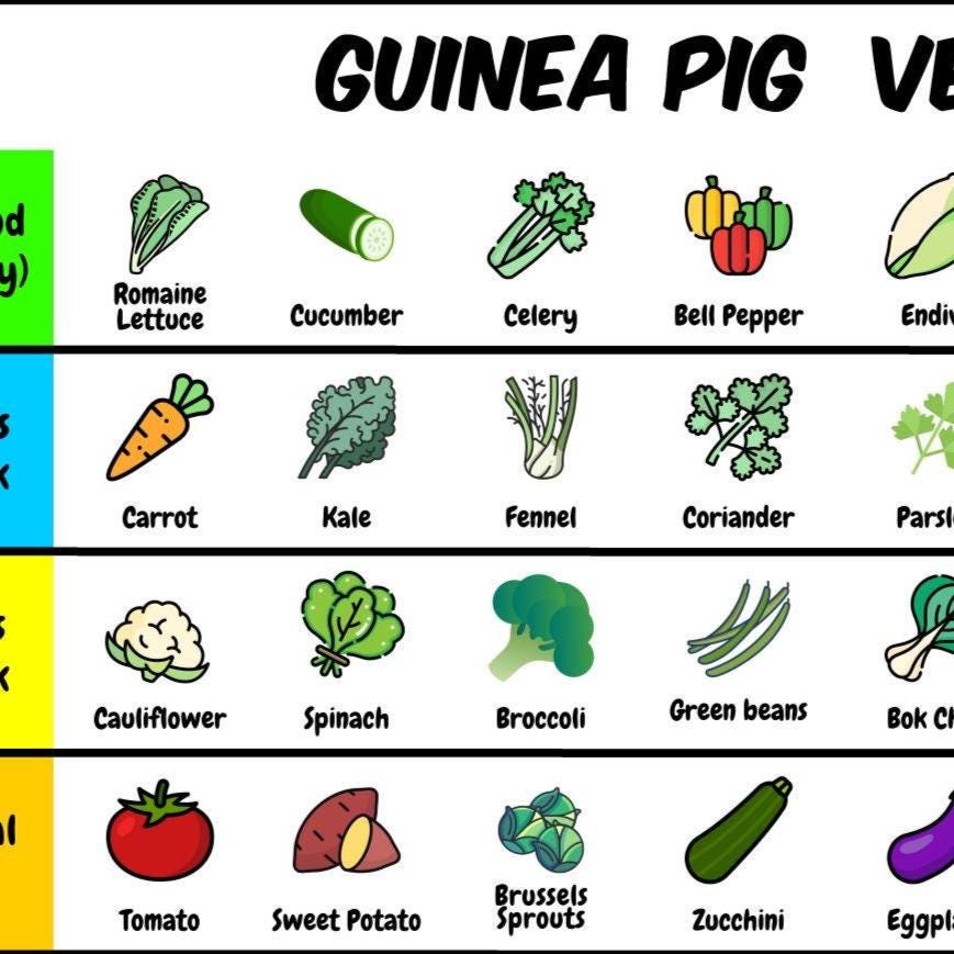 Image showcasing Guinea Pig Vegetable Chart Printable | Safe Veggies Tier List | Meal ...