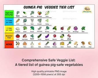 Tabella stampabile delle verdure per porcellini d'India / Elenco a livelli di verdure sicure / Pianificatore di pasti e guida per la cura degli animali domestici (download digitale) PNG - 300 DPI