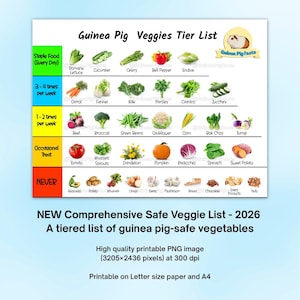 May include: A comprehensive guinea pig veggie tier list, featuring a variety of vegetables categorized by frequency of feeding. Includes Romaine lettuce, carrots, beets, and more. The image also includes the text "NEW Comprehensive Safe Veggie List - 2026".