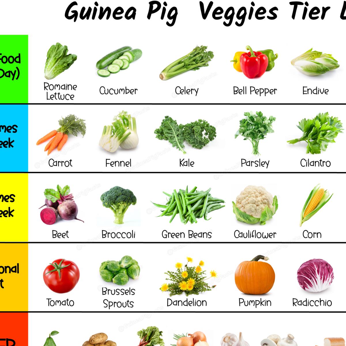 Beautiful view of Guinea Pig High Water Veggies For Air Circulation