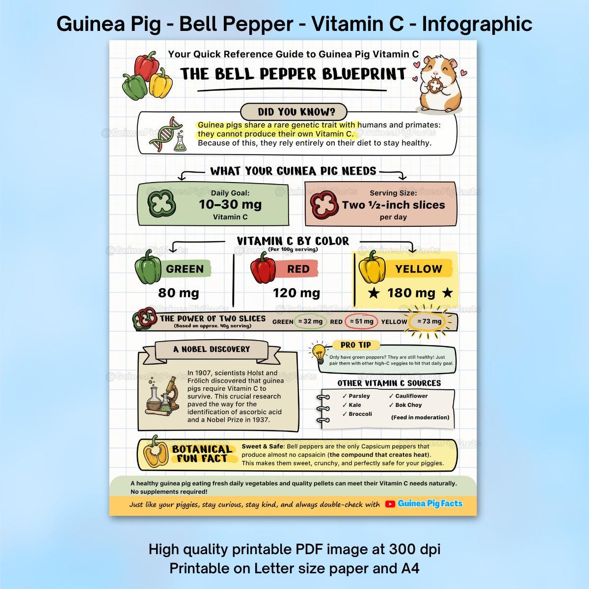 NEW! Guinea Pig Bell Peppers and Vitamin C Chart Printable | Meal ...