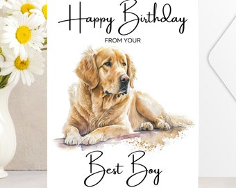 Golden Retriever Happy Birthday From Your Best Boy Card - Birthday Card From The Dog - Pet Lover's Birthday Card - Blank Inside - 376