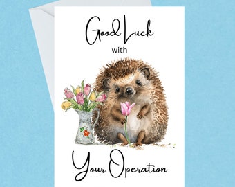 Good Luck With Your Operation Card - Cute Hedgehog Surgery/Operation/Procedure - Whimsical Woodlands Range - Handmade - Blank Inside - 294