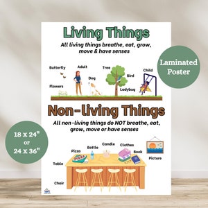 Living Vs. Non Living Anchor Chart, Living Things Anchor Chart, Anchor Chart for Life Science, Elementary Science Poster, Science Classroom