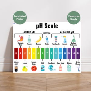 May include: A laminated educational poster titled pH Scale, featuring a color-coded chart from 0 to 14. It displays acidic, neutral, and alkaline categories with illustrations of items like a stomach, banana, water, toothpaste, and bleach.