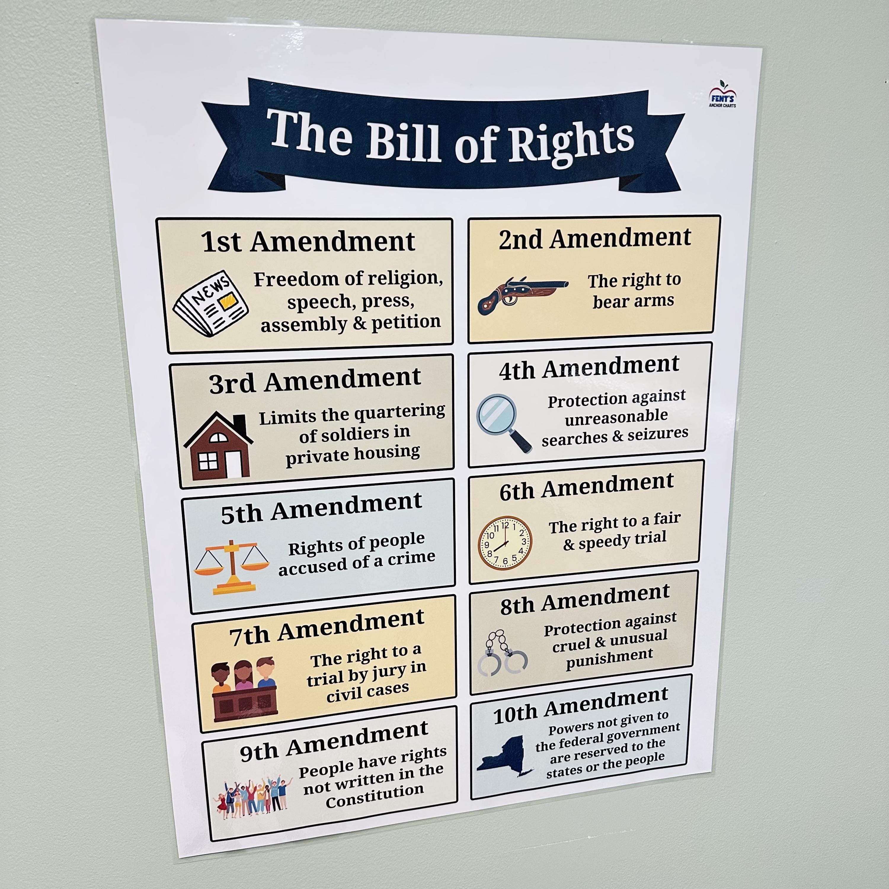 Bill of Rights Classroom Poster | High School Civics Anchor Chart - Etsy