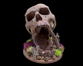 Skull Dice Tower - Dice Roller - Dice Randomizer - Skull Diorama Decor - Deserts Kiss Dice Roller