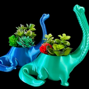 May include: Two dinosaur-shaped planters, one blue and one green, with succulent plants growing inside. The planters are made of 3D printed plastic and have a textured finish.
