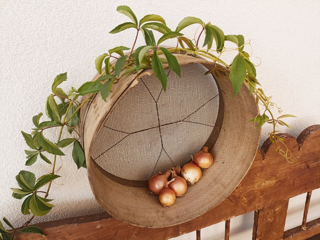 Large Wooden Hand Sieve Antique Pasta Sieve Vintage Etsy