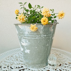 vintage galvanized zinc bucket - vintage metal buckets - farmhouse planters
