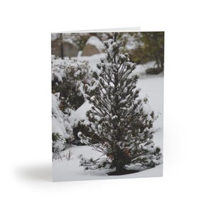 Christmas Pine Tree Greeting cards (8, 16, and 24 pcs), Holiday Greeting Cards, Seasonal Stationery, Winter Note Cards, Festive Blank Cards,