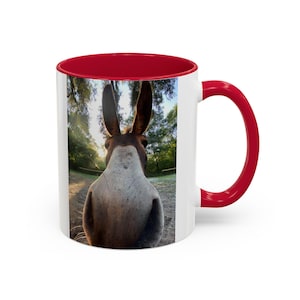 Esel Mom Akzent Kaffeetasse für Esel-Liebhaber, lustige Esel-Tasse, Teetrinker, einzigartige Tasse