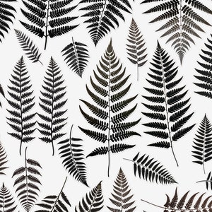 40x Fern Tattoo XXL Sheet - Black Nature-Inspired Temporary Body Art for Fern Lovers and Elfs