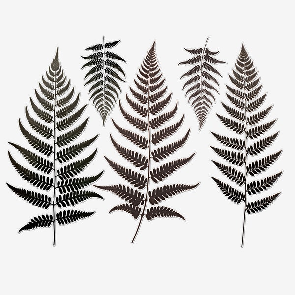 5x Fern Temporary Tattoos Sheet: 8x10cm (3x4 Inches) - Earthy Brown-Green Ferns for Nature Lovers