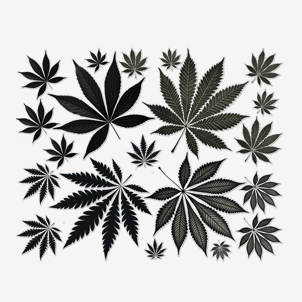 20 tatouages temporaires de feuilles de cannabis - Idéal pour les événements et les festivals de chanvre