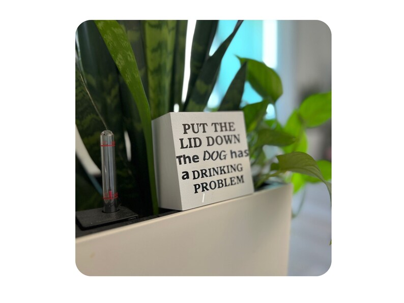 Funny Bathroom Shelf Signs Etsy