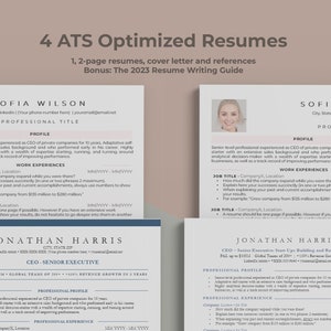 May include: A sample resume template with a blue and white color scheme. The resume is for a CEO with a focus on professional experience and skills. The resume includes a professional profile, work experience, education, skills and interests, and language.