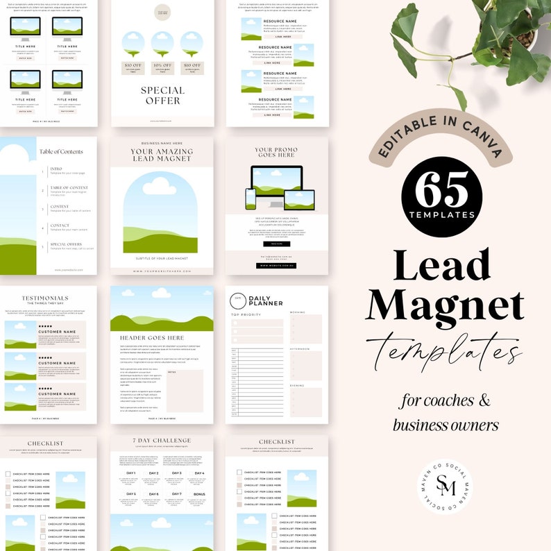 Lead Magnet Bundle, Edible in Canva, Canva Lead Magnet, Coach Lead Magnet Template, Opt In Template, Lead Magnet Canva Template Bundle