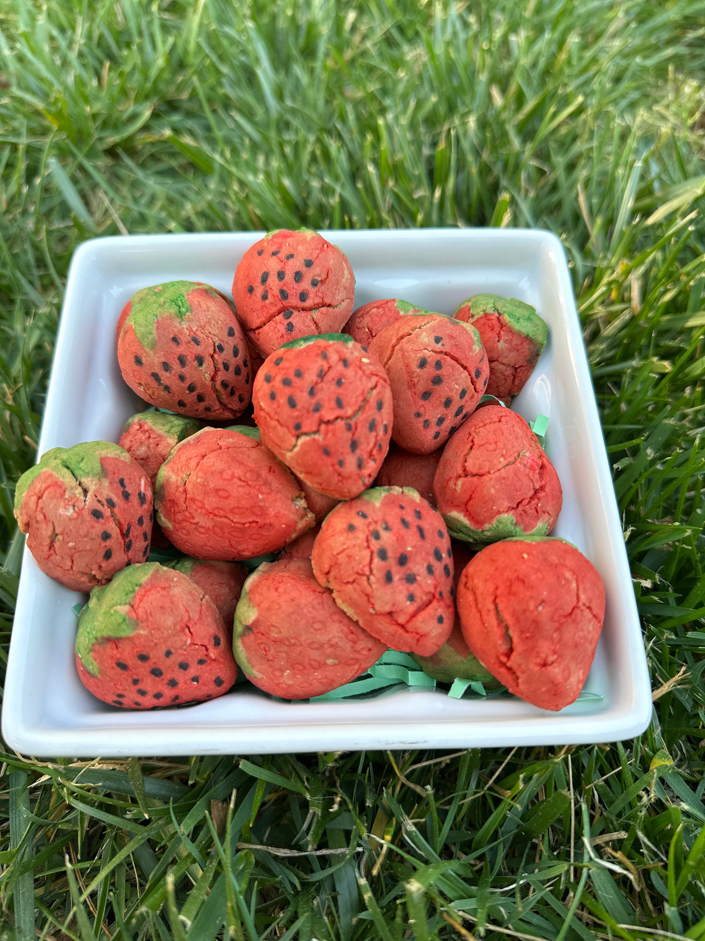 Dapper Darling Horse Treats Etsy