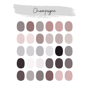 Champagne Procreate Color Palette | Instant Download Colors | Procreate Brushes