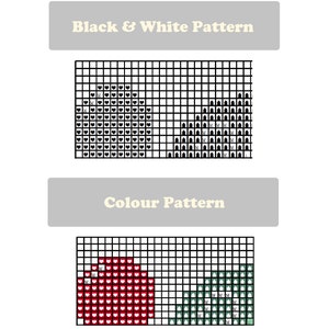 May include: A cross-stitch pattern guide with two sections. The top section, labeled "Black & White Pattern," shows a design in black and white. The bottom section, labeled "Colour Pattern," displays the same design in red and green.