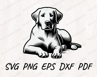 Labrador Retriever Dog Laying Design 4 Svg Png Dxf Eps Pdf Vector ...