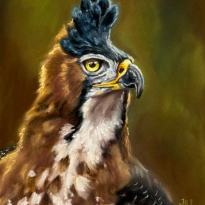 Original Pastel Painting: Ornate Eagle Hawk