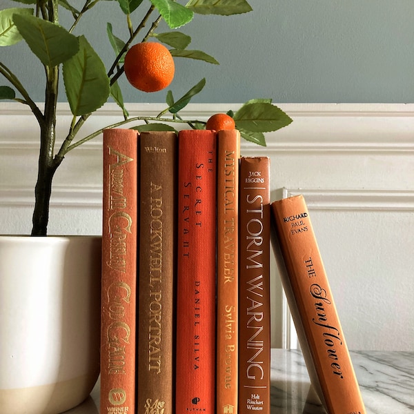 Decorative Book Stack Etsy