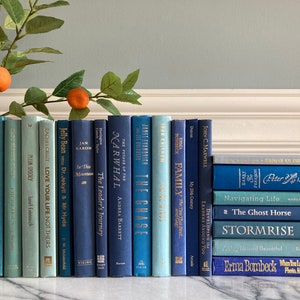 Monochromatic Blue Decorative Book Set Stack - Shelf Decor