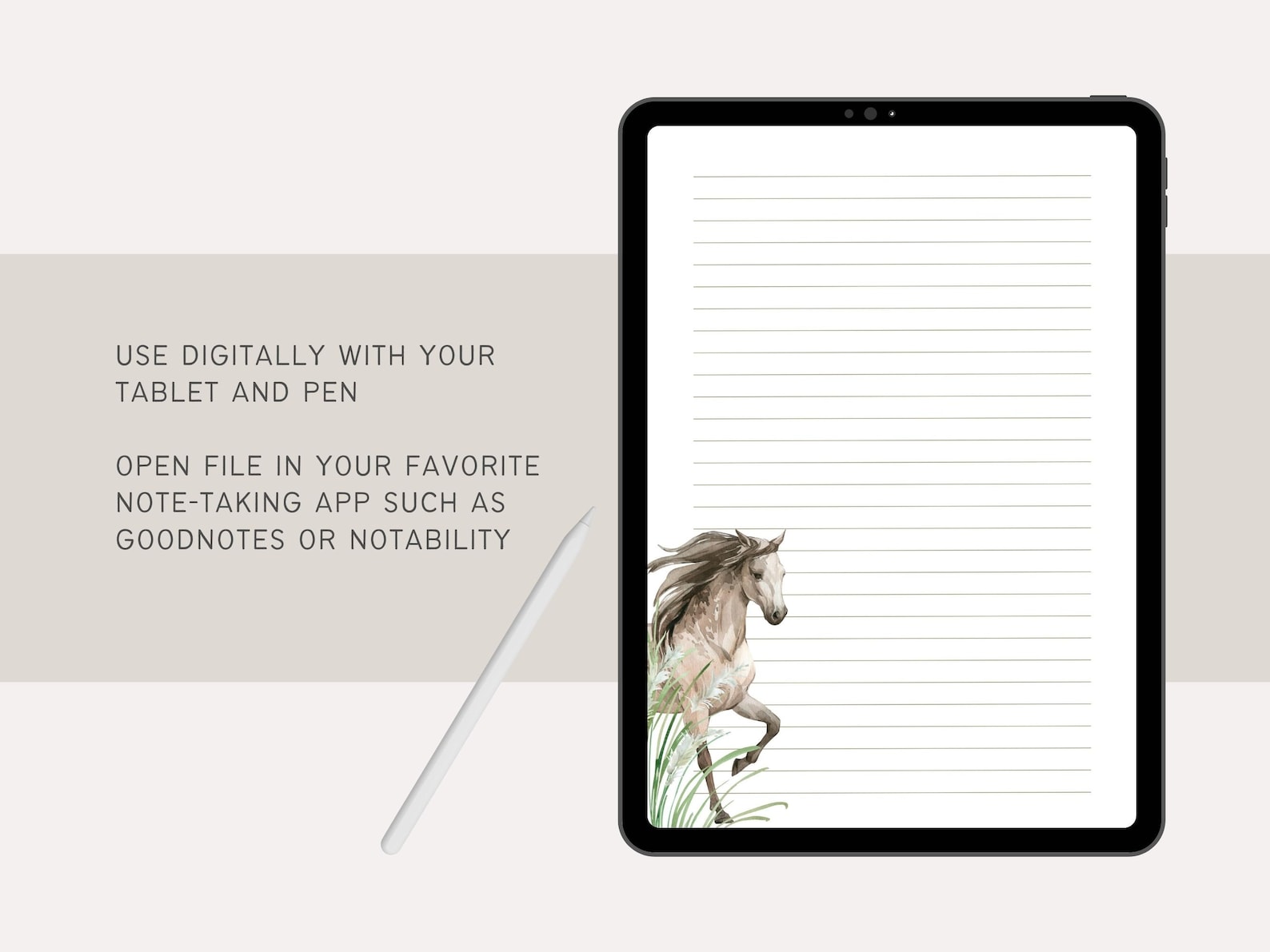 Horse and Pampas Grass Printable Stationery | US Letter 8.5x11 In, A4 ...