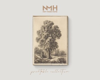 The Elm Tree / Vintage Sketch / Art Print / Printable Artwork / Downloadable Print / Digital Download / #006