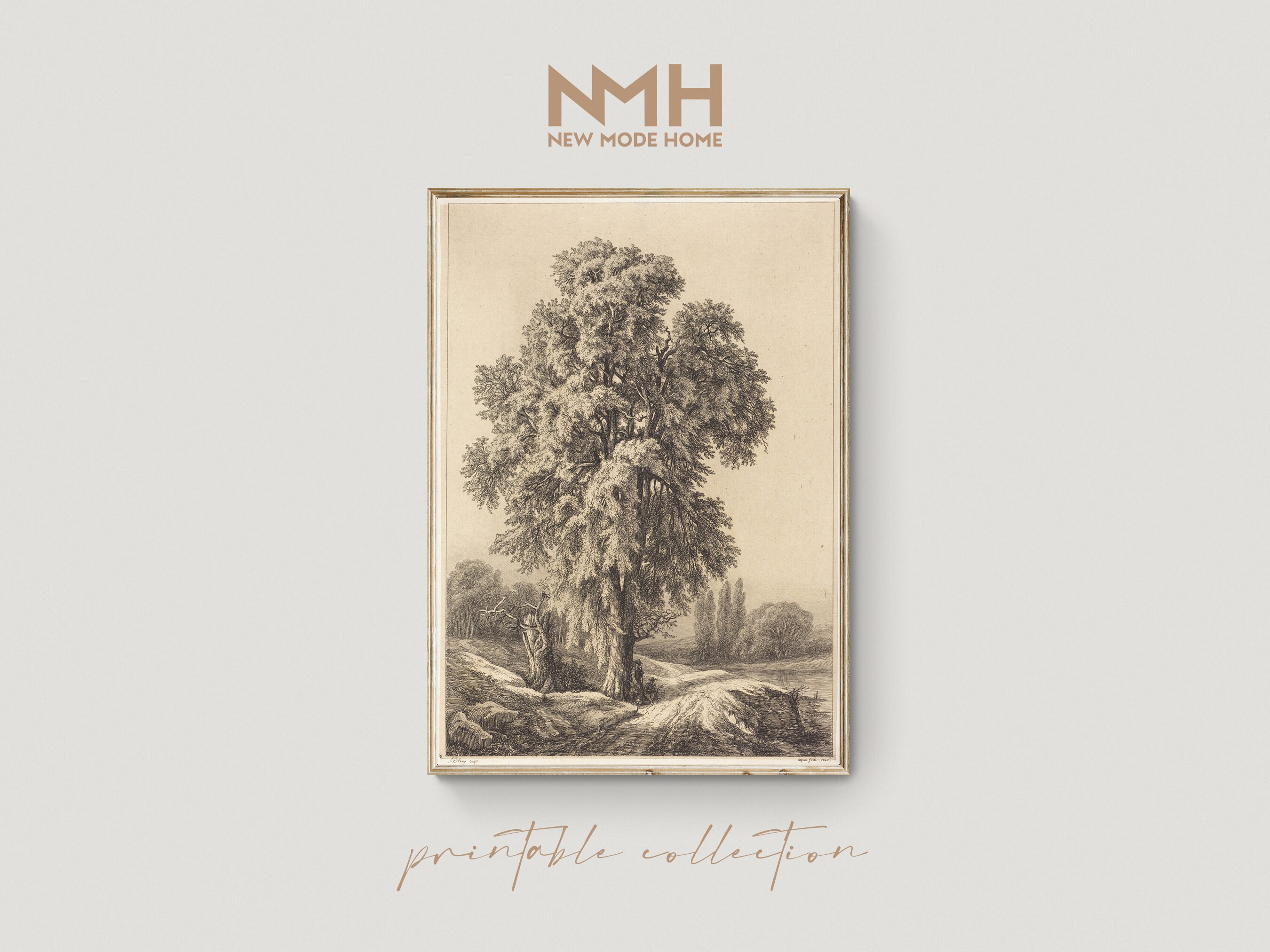 The Elm Tree / Vintage Sketch / Art Print / Printable Artwork