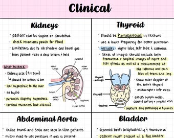 Clinical Notes