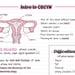 Intro to OBGYN Ultrasound Notes - Etsy