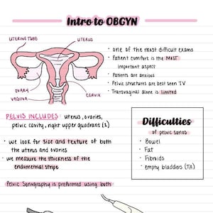 Intro to OBGYN Ultrasound Notes