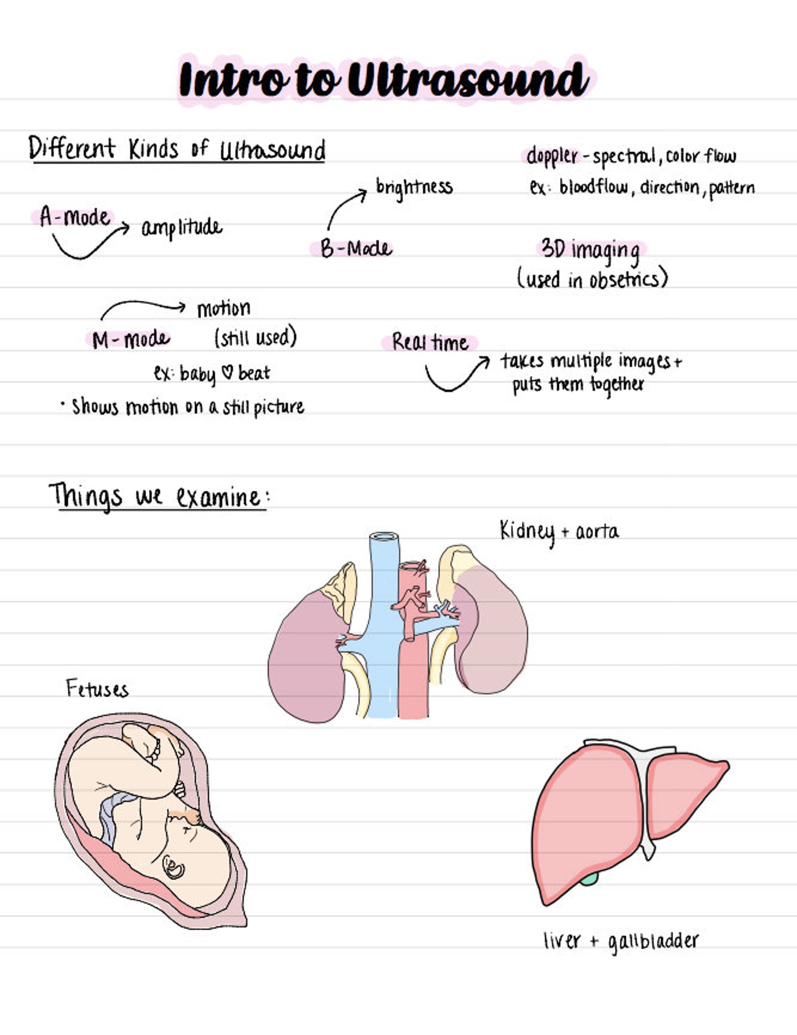 Handwritten Abdominal Ultrasound Notes Bundle Part 1 Etsy
