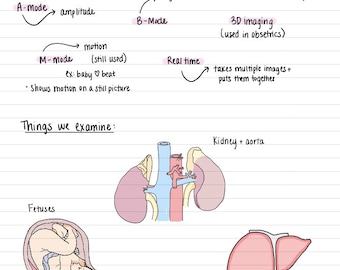 Intro to Ultrasound