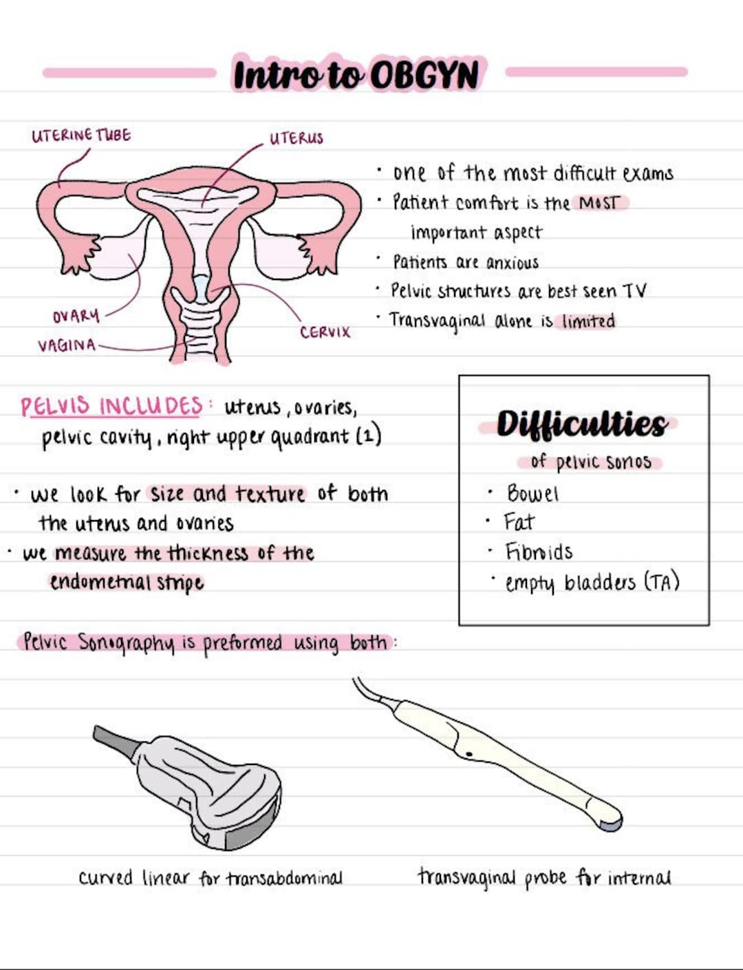 Intro to OBGYN Ultrasound Notes Etsy